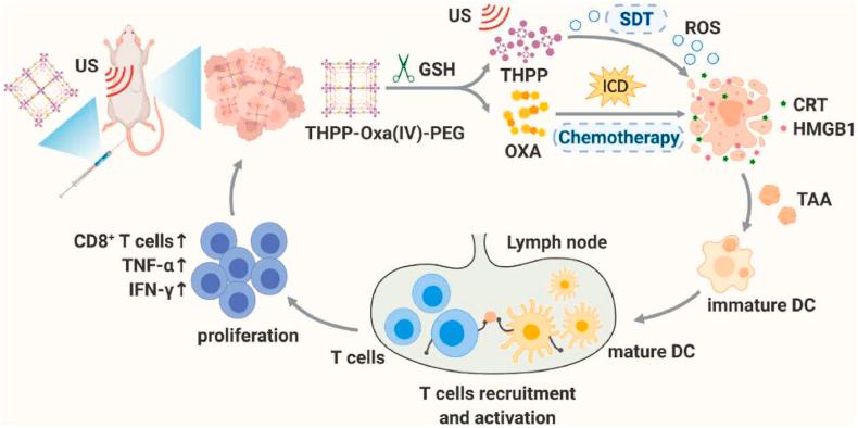https://cdn.ncbi.nlm.nih.gov/pmc/blobs/d4f8/9483748/3917b9024008/gr12.jpg