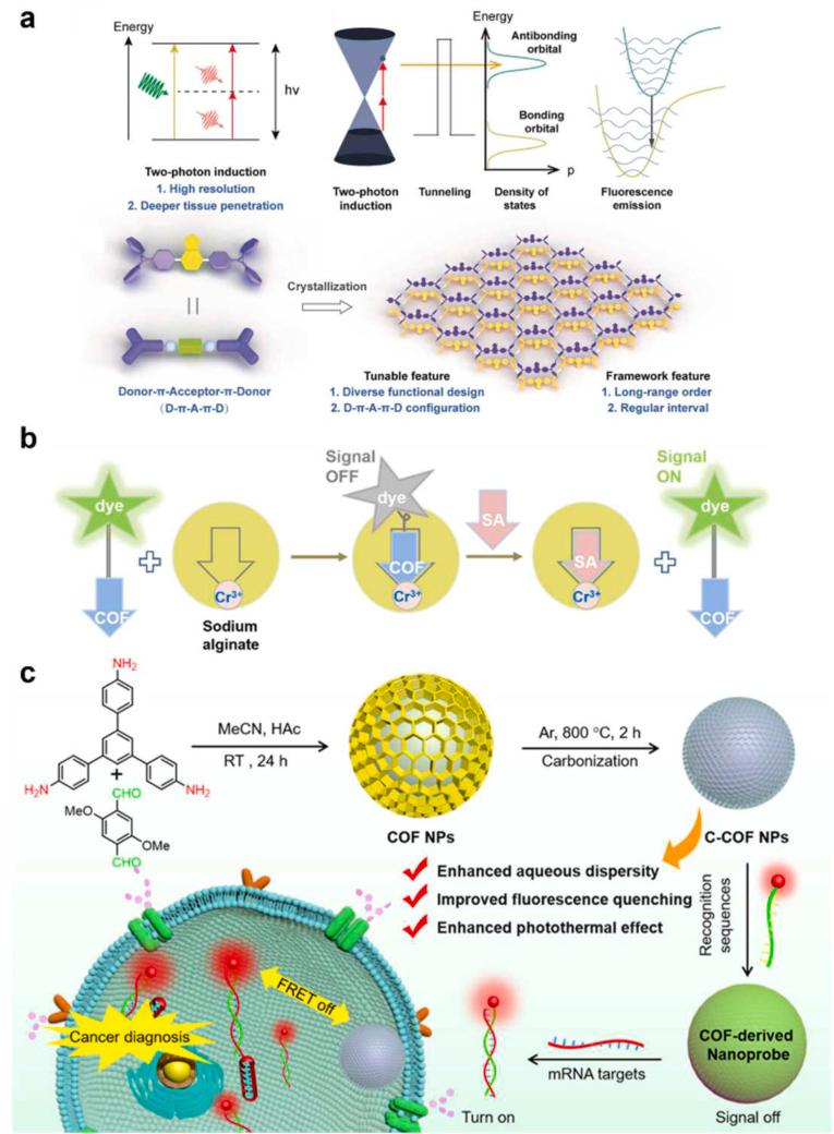 https://cdn.ncbi.nlm.nih.gov/pmc/blobs/d4f8/9483748/80c85fc73147/gr3.jpg