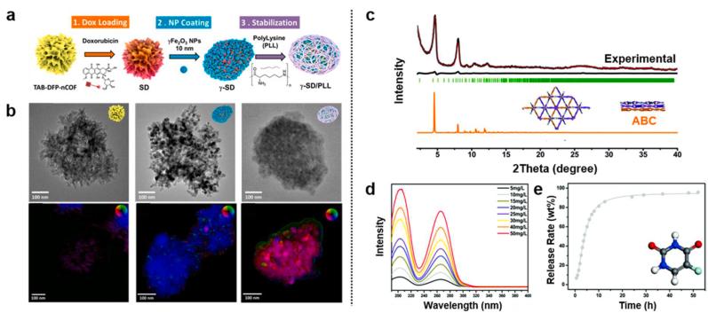 https://cdn.ncbi.nlm.nih.gov/pmc/blobs/d4f8/9483748/92b9911035eb/gr6.jpg