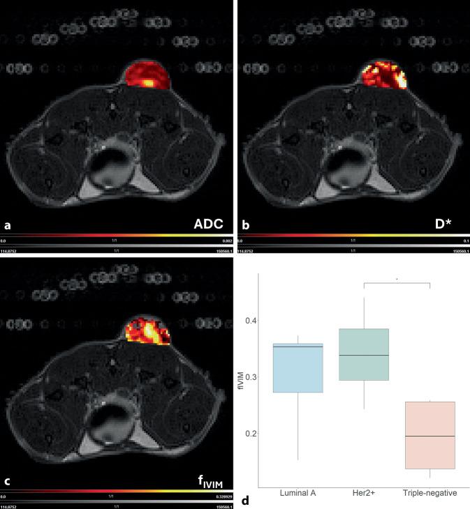https://cdn.ncbi.nlm.nih.gov/pmc/blobs/d4fa/11845421/8118e6e9d5c2/117_2024_1390_Fig2_HTML.jpg