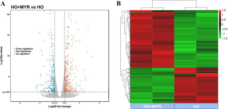 https://cdn.ncbi.nlm.nih.gov/pmc/blobs/d4fa/9969624/0e72b88b0c92/13018_2022_3463_Fig2_HTML.jpg