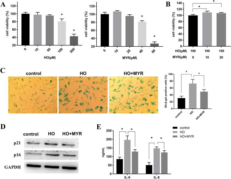 https://cdn.ncbi.nlm.nih.gov/pmc/blobs/d4fa/9969624/7286644cc231/13018_2022_3463_Fig1_HTML.jpg