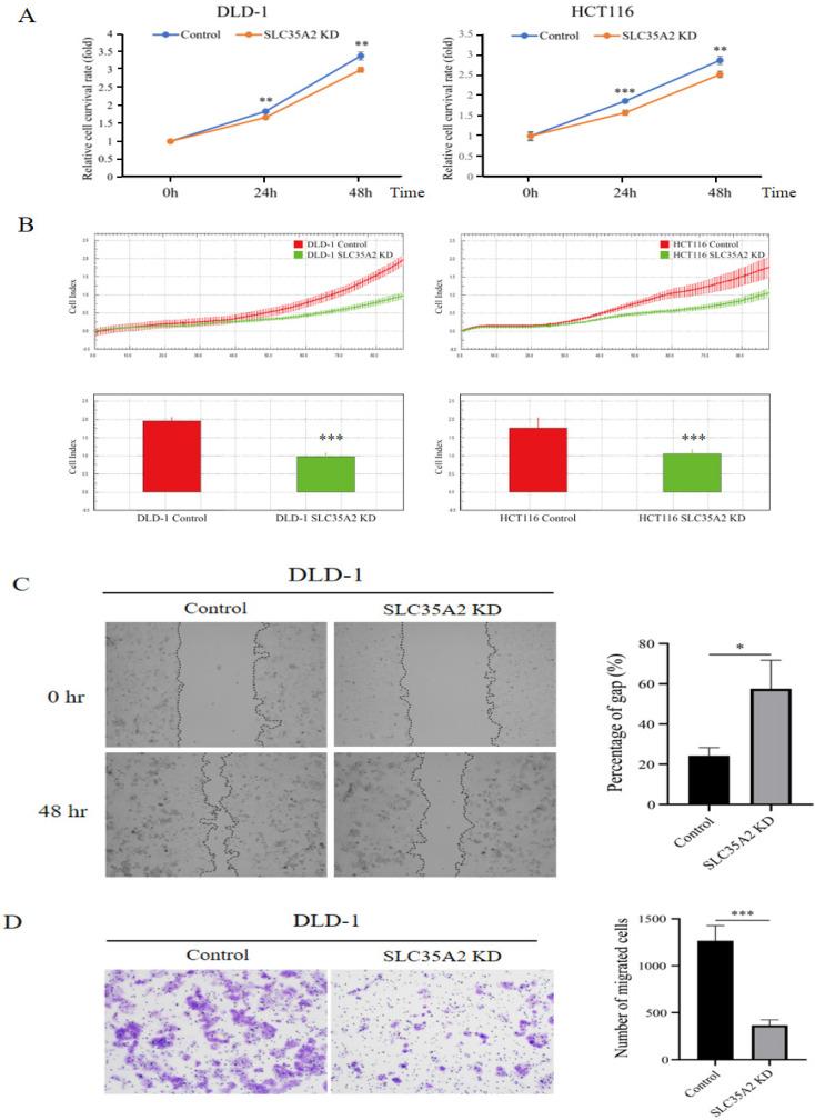 https://cdn.ncbi.nlm.nih.gov/pmc/blobs/d4fe/12035830/5e6b77fa1121/ijmsv22p1992g008.jpg