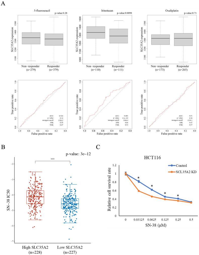 https://cdn.ncbi.nlm.nih.gov/pmc/blobs/d4fe/12035830/ee487ce38bd5/ijmsv22p1992g009.jpg