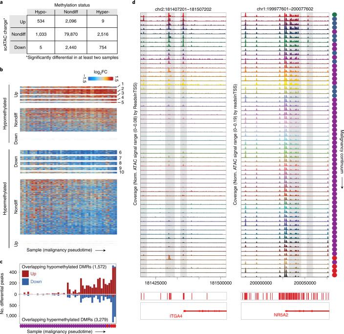 https://cdn.ncbi.nlm.nih.gov/pmc/blobs/d4fe/9279149/74c52913c820/41588_2022_1088_Fig6_HTML.jpg