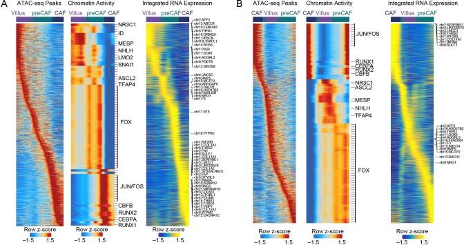 https://cdn.ncbi.nlm.nih.gov/pmc/blobs/d4fe/9279149/7a4b543ff826/41588_2022_1088_Fig16_ESM.jpg