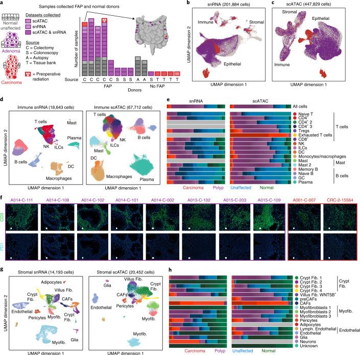 https://cdn.ncbi.nlm.nih.gov/pmc/blobs/d4fe/9279149/c60901e1ae41/41588_2022_1088_Fig1_HTML.jpg