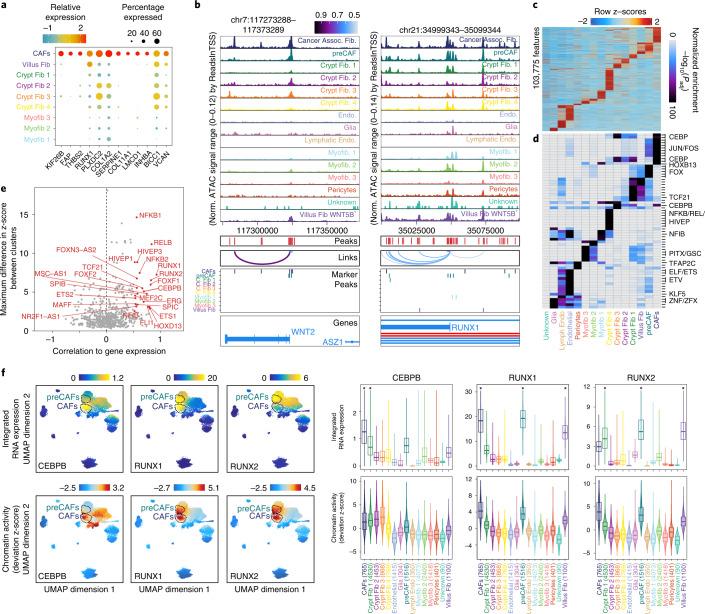 https://cdn.ncbi.nlm.nih.gov/pmc/blobs/d4fe/9279149/d0d9a1a24ed1/41588_2022_1088_Fig2_HTML.jpg