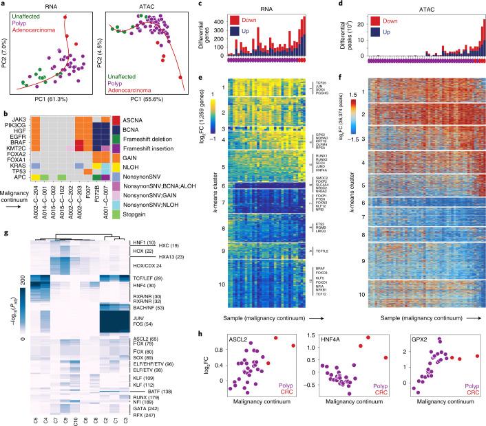 https://cdn.ncbi.nlm.nih.gov/pmc/blobs/d4fe/9279149/d180f9f1c561/41588_2022_1088_Fig4_HTML.jpg