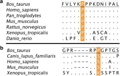 https://cdn.ncbi.nlm.nih.gov/pmc/blobs/d501/5702100/3bd65ac42538/12864_2017_4308_Fig3_HTML.jpg