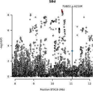 https://cdn.ncbi.nlm.nih.gov/pmc/blobs/d501/5702100/5f59edd68946/12864_2017_4308_Fig5_HTML.jpg