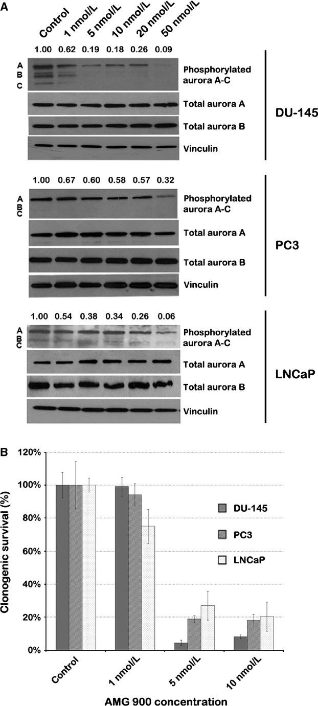 https://cdn.ncbi.nlm.nih.gov/pmc/blobs/d503/4302682/9c215da7f040/cam40003-1322-f1.jpg