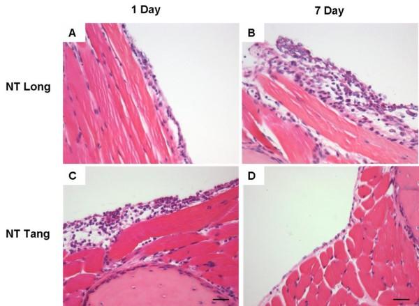 https://cdn.ncbi.nlm.nih.gov/pmc/blobs/d504/2857820/570e659d9b05/1743-8977-7-5-11.jpg