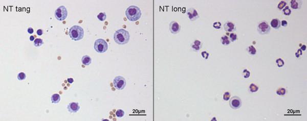 https://cdn.ncbi.nlm.nih.gov/pmc/blobs/d504/2857820/c2471804c573/1743-8977-7-5-10.jpg