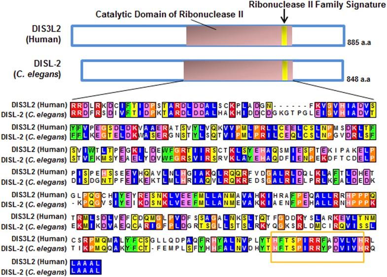 https://cdn.ncbi.nlm.nih.gov/pmc/blobs/d504/4279084/6a58227462af/elife04265fs006.jpg