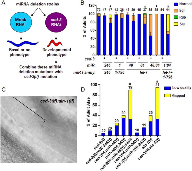 https://cdn.ncbi.nlm.nih.gov/pmc/blobs/d504/4279084/bc498250983b/elife04265f005.jpg