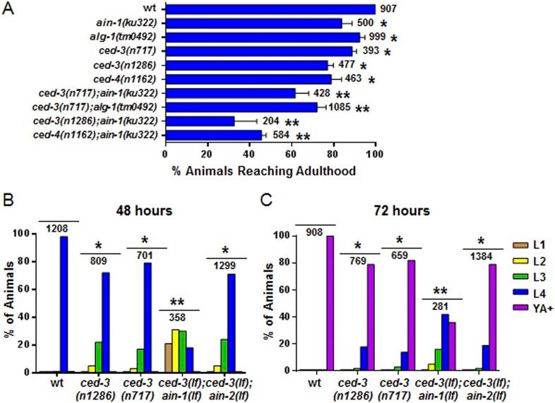 https://cdn.ncbi.nlm.nih.gov/pmc/blobs/d504/4279084/e868ceb68cb2/elife04265f004.jpg