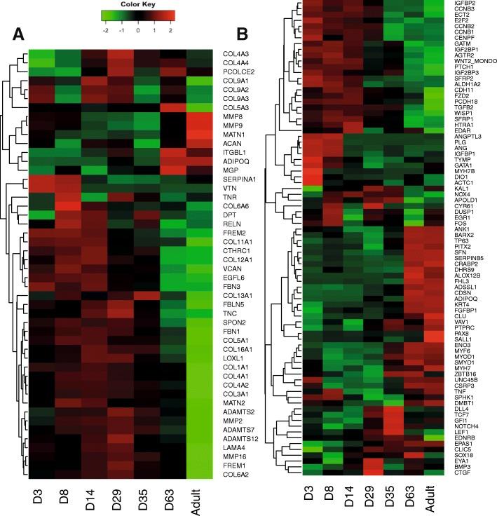 https://cdn.ncbi.nlm.nih.gov/pmc/blobs/d504/6173930/0b1e7e83a64a/12864_2018_5102_Fig5_HTML.jpg