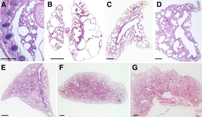 https://cdn.ncbi.nlm.nih.gov/pmc/blobs/d504/6173930/3b543e5a659a/12864_2018_5102_Fig1_HTML.jpg