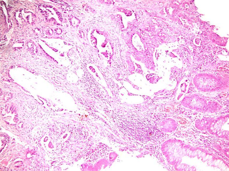 https://cdn.ncbi.nlm.nih.gov/pmc/blobs/d505/9289700/0a0eca77cacf/RJME-62-4-971-fig3.jpg