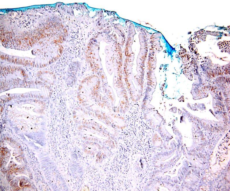https://cdn.ncbi.nlm.nih.gov/pmc/blobs/d505/9289700/33b21977b828/RJME-62-4-971-fig12.jpg