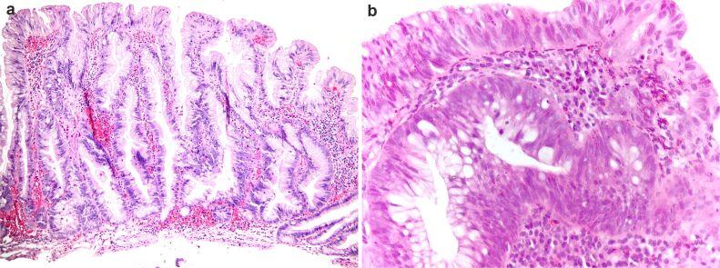https://cdn.ncbi.nlm.nih.gov/pmc/blobs/d505/9289700/8ad5a995eac9/RJME-62-4-971-fig1.jpg
