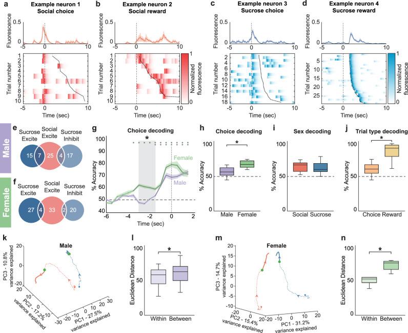 https://cdn.ncbi.nlm.nih.gov/pmc/blobs/d506/11399386/3d0e69160c5c/41467_2024_52294_Fig3_HTML.jpg