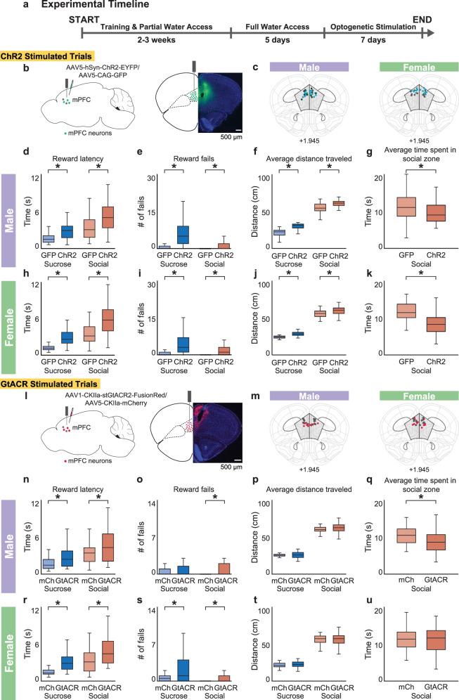https://cdn.ncbi.nlm.nih.gov/pmc/blobs/d506/11399386/5d72e83b8900/41467_2024_52294_Fig6_HTML.jpg