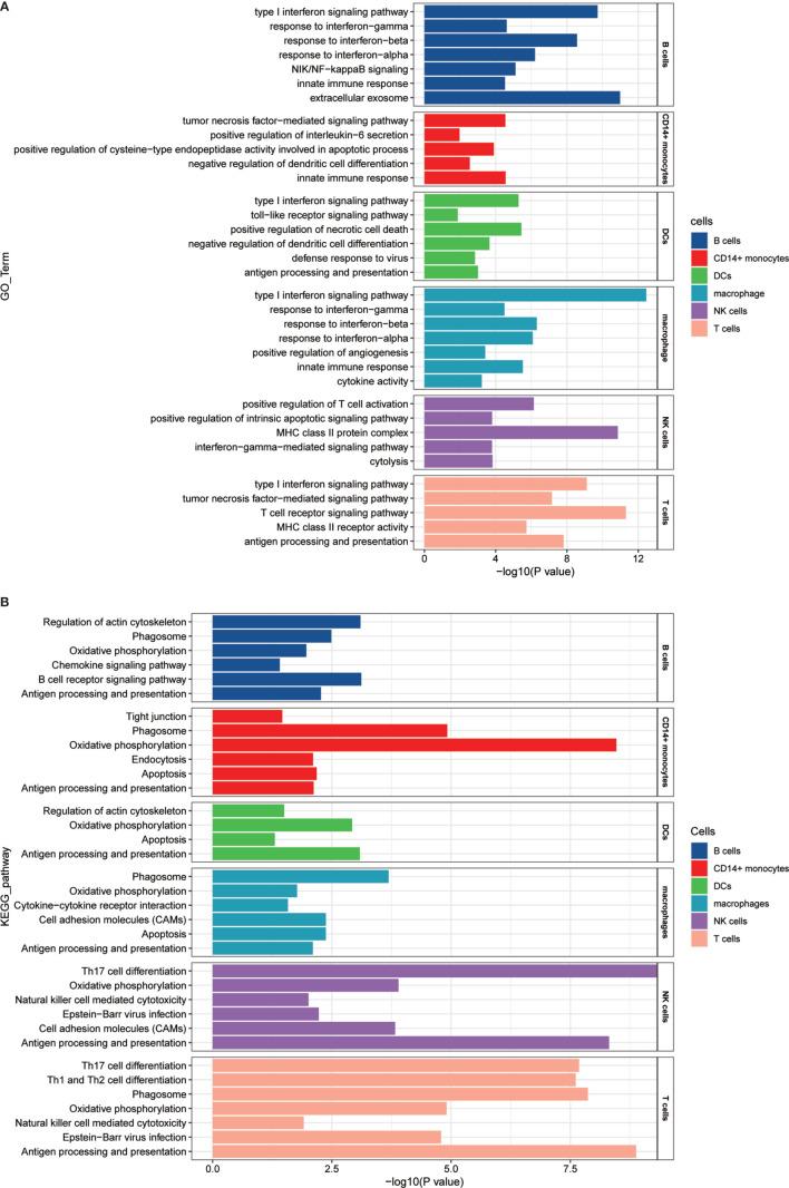 https://cdn.ncbi.nlm.nih.gov/pmc/blobs/d508/7884617/2163115dbed2/fimmu-11-594658-g005.jpg