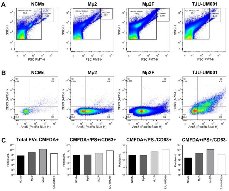 https://cdn.ncbi.nlm.nih.gov/pmc/blobs/d508/9736613/40336237e382/cells-11-03828-g001.jpg