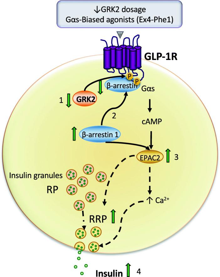 https://cdn.ncbi.nlm.nih.gov/pmc/blobs/d50b/7931601/22dc1a90dfbb/12915_2021_966_Fig6_HTML.jpg