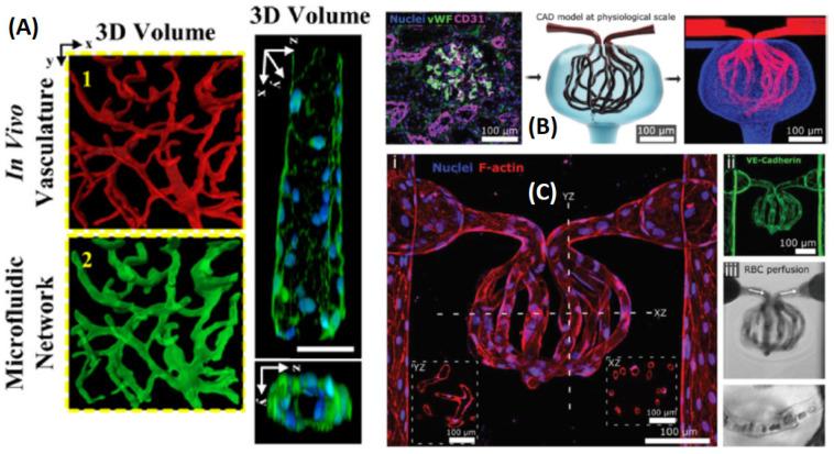 https://cdn.ncbi.nlm.nih.gov/pmc/blobs/d50b/8433654/8396f840124e/sensors-21-05891-g009.jpg