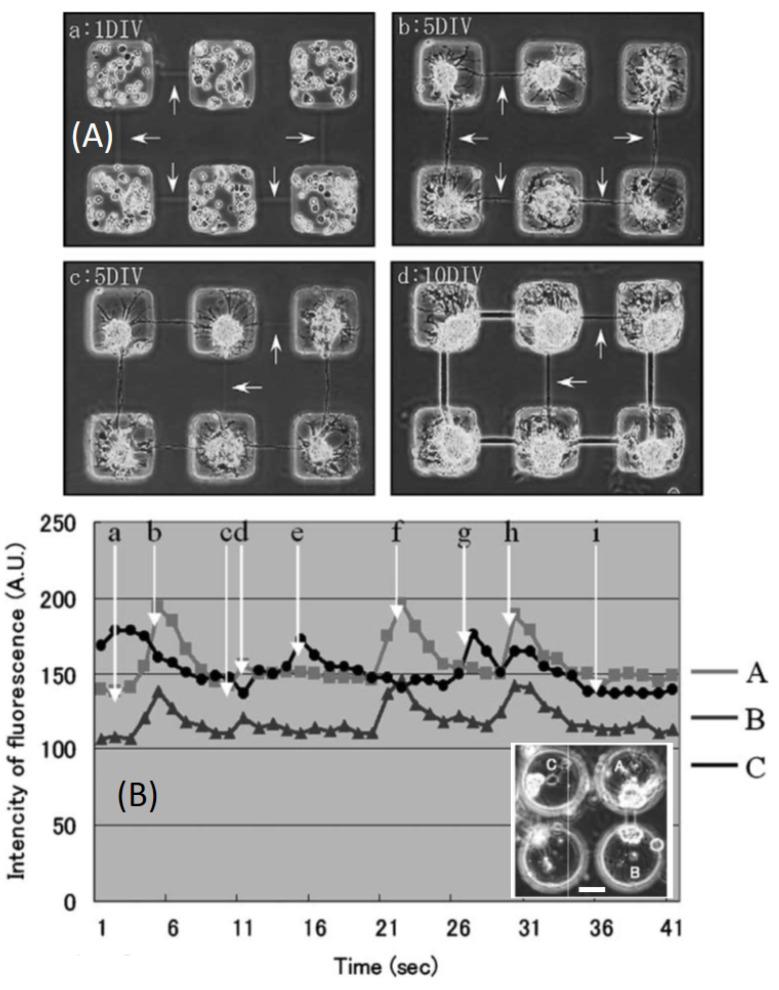 https://cdn.ncbi.nlm.nih.gov/pmc/blobs/d50b/8433654/85f7af72cceb/sensors-21-05891-g006.jpg