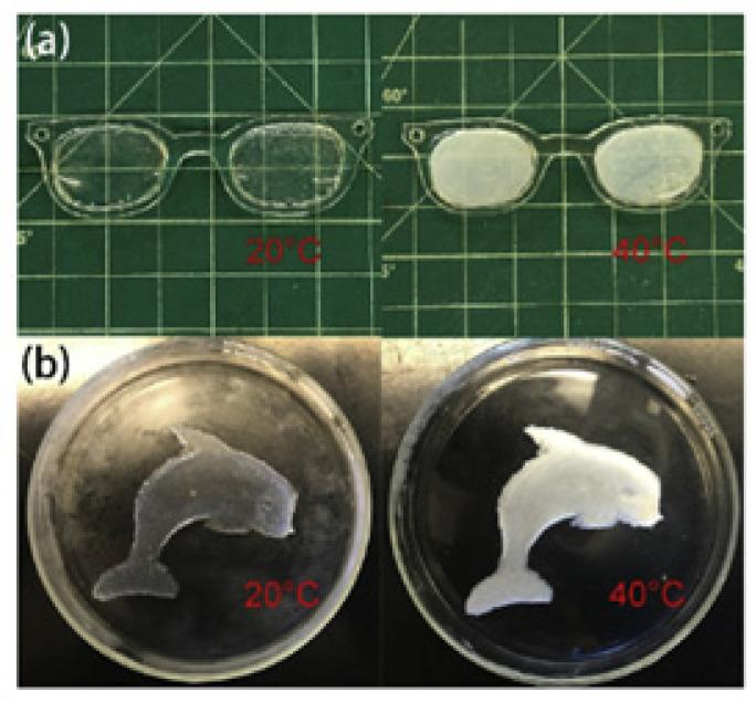 https://cdn.ncbi.nlm.nih.gov/pmc/blobs/d50b/8433654/8ed844dc04a6/sensors-21-05891-g007.jpg