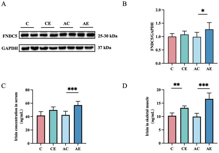 https://cdn.ncbi.nlm.nih.gov/pmc/blobs/d50c/12109772/1bff1e31dc4a/cimb-47-00371-g003.jpg