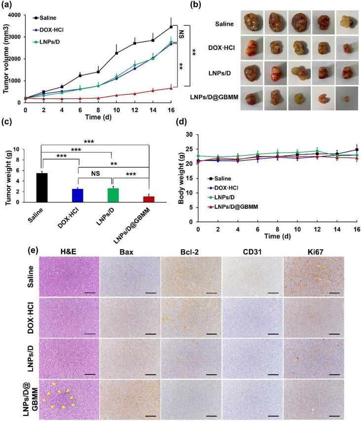 https://cdn.ncbi.nlm.nih.gov/pmc/blobs/d50e/12211940/33923c4a0bf4/12885_2025_14433_Fig7_HTML.jpg