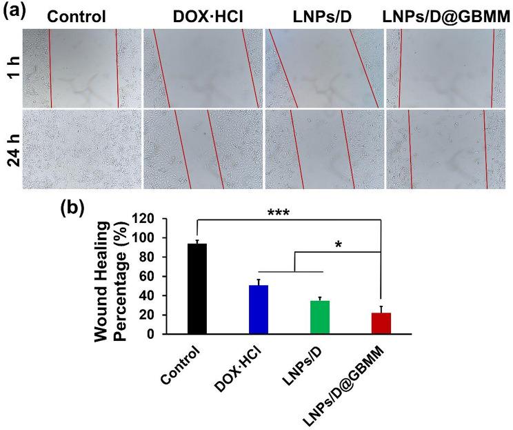 https://cdn.ncbi.nlm.nih.gov/pmc/blobs/d50e/12211940/6c1e6d33af6d/12885_2025_14433_Fig5_HTML.jpg