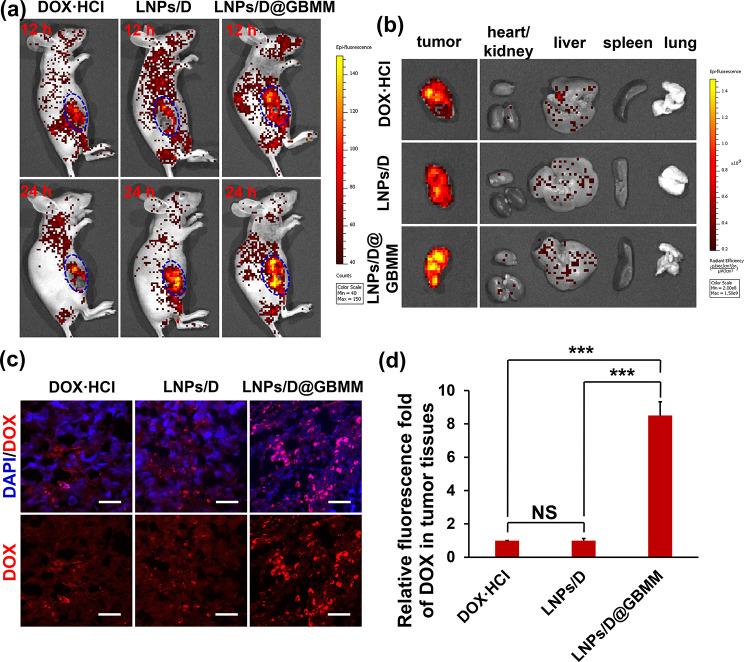 https://cdn.ncbi.nlm.nih.gov/pmc/blobs/d50e/12211940/7c2a97e47ae8/12885_2025_14433_Fig6_HTML.jpg