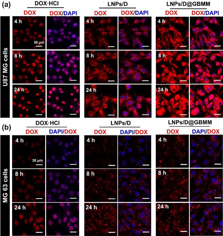 https://cdn.ncbi.nlm.nih.gov/pmc/blobs/d50e/12211940/c6dcbede48c5/12885_2025_14433_Fig3_HTML.jpg