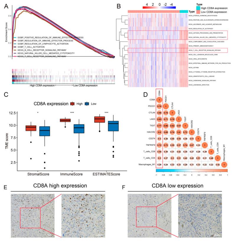 https://cdn.ncbi.nlm.nih.gov/pmc/blobs/d50e/9564077/5224329a977c/cancers-14-04866-g005.jpg