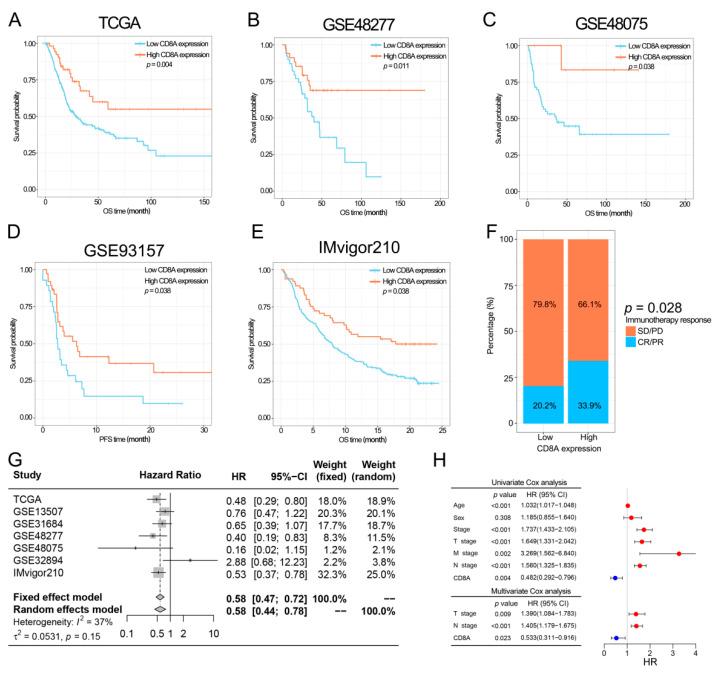 https://cdn.ncbi.nlm.nih.gov/pmc/blobs/d50e/9564077/d011780cf5fc/cancers-14-04866-g003.jpg