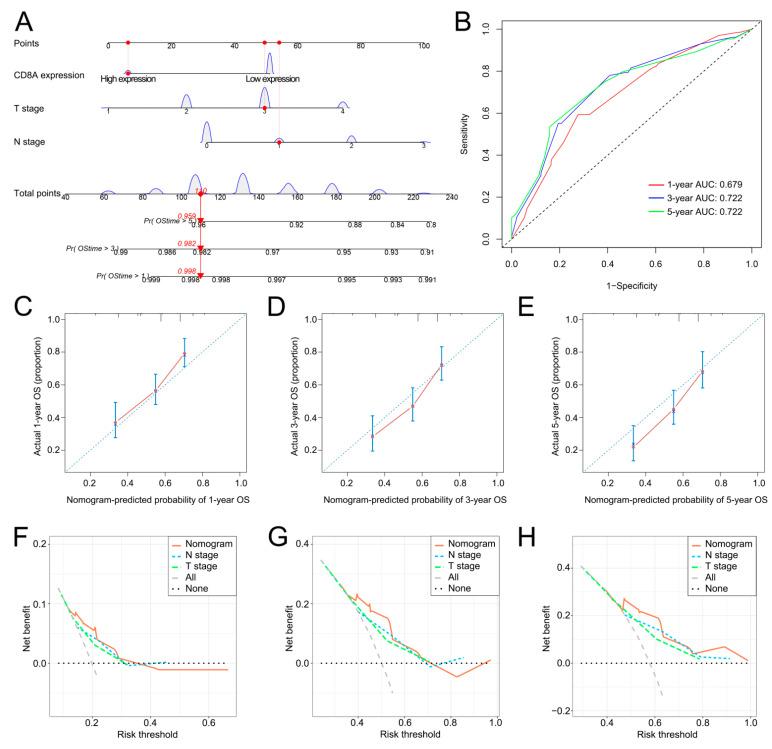 https://cdn.ncbi.nlm.nih.gov/pmc/blobs/d50e/9564077/e1da021273cb/cancers-14-04866-g004.jpg