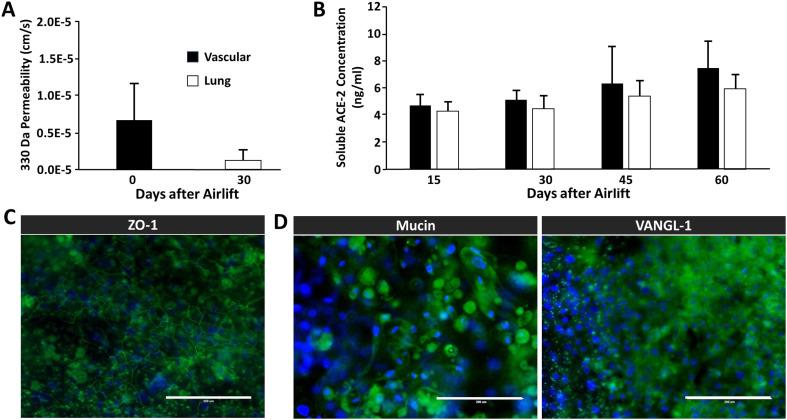 https://cdn.ncbi.nlm.nih.gov/pmc/blobs/d50f/10929697/c9c2185be31b/d3lc00894k-f4.jpg