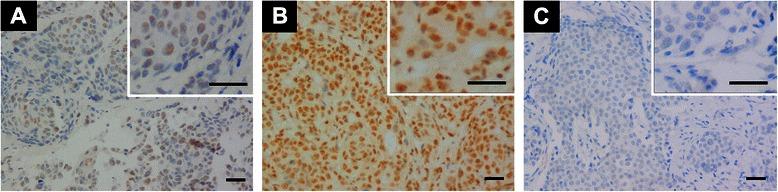 https://cdn.ncbi.nlm.nih.gov/pmc/blobs/d50f/4608314/d8eedd6fc859/12885_2015_1694_Fig1_HTML.jpg