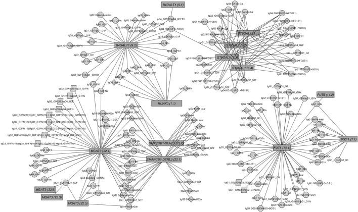 https://cdn.ncbi.nlm.nih.gov/pmc/blobs/d50f/5834439/870c1fd58537/fimmu-09-00277-g002.jpg