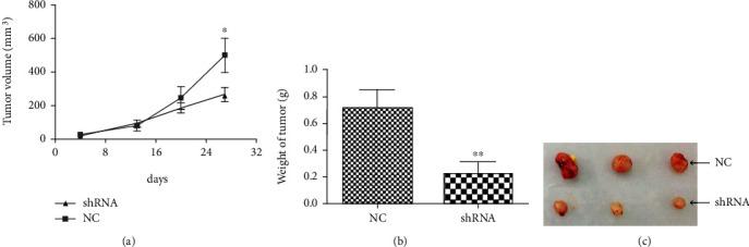 https://cdn.ncbi.nlm.nih.gov/pmc/blobs/d510/7759407/053459fa73fa/ACP2020-4182092.006.jpg