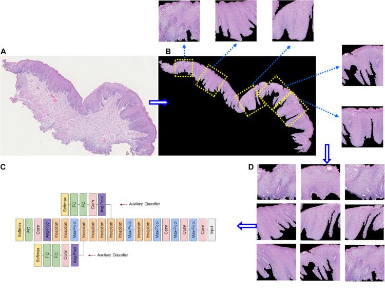 https://cdn.ncbi.nlm.nih.gov/pmc/blobs/d510/7902873/39a3347e689b/fgene-12-624820-g003.jpg