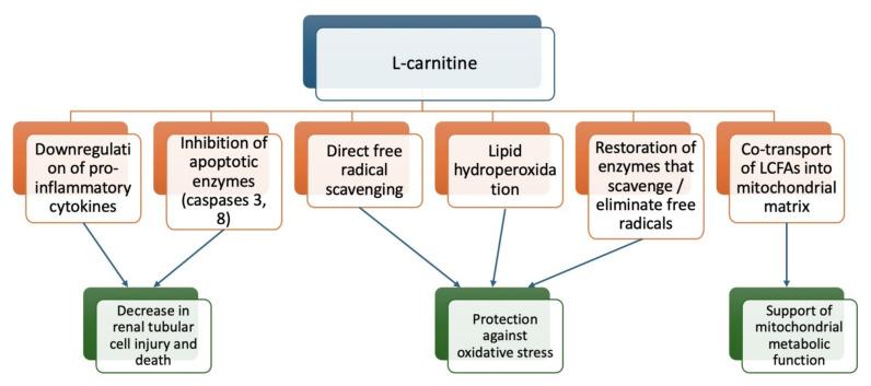 https://cdn.ncbi.nlm.nih.gov/pmc/blobs/d512/11278892/3e41543aa02c/metabolites-14-00363-g002.jpg