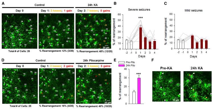 https://cdn.ncbi.nlm.nih.gov/pmc/blobs/d512/5965271/072301eb410b/nihms965673f2.jpg