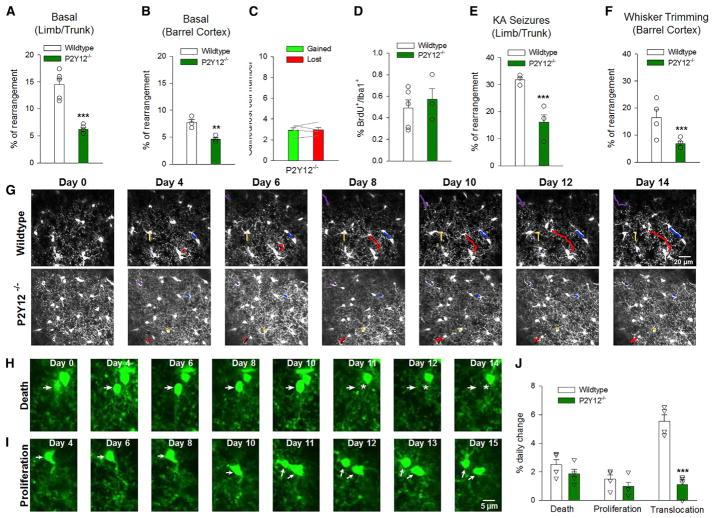 https://cdn.ncbi.nlm.nih.gov/pmc/blobs/d512/5965271/2cc253f42128/nihms965673f4.jpg